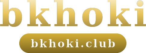 bkhoki logo